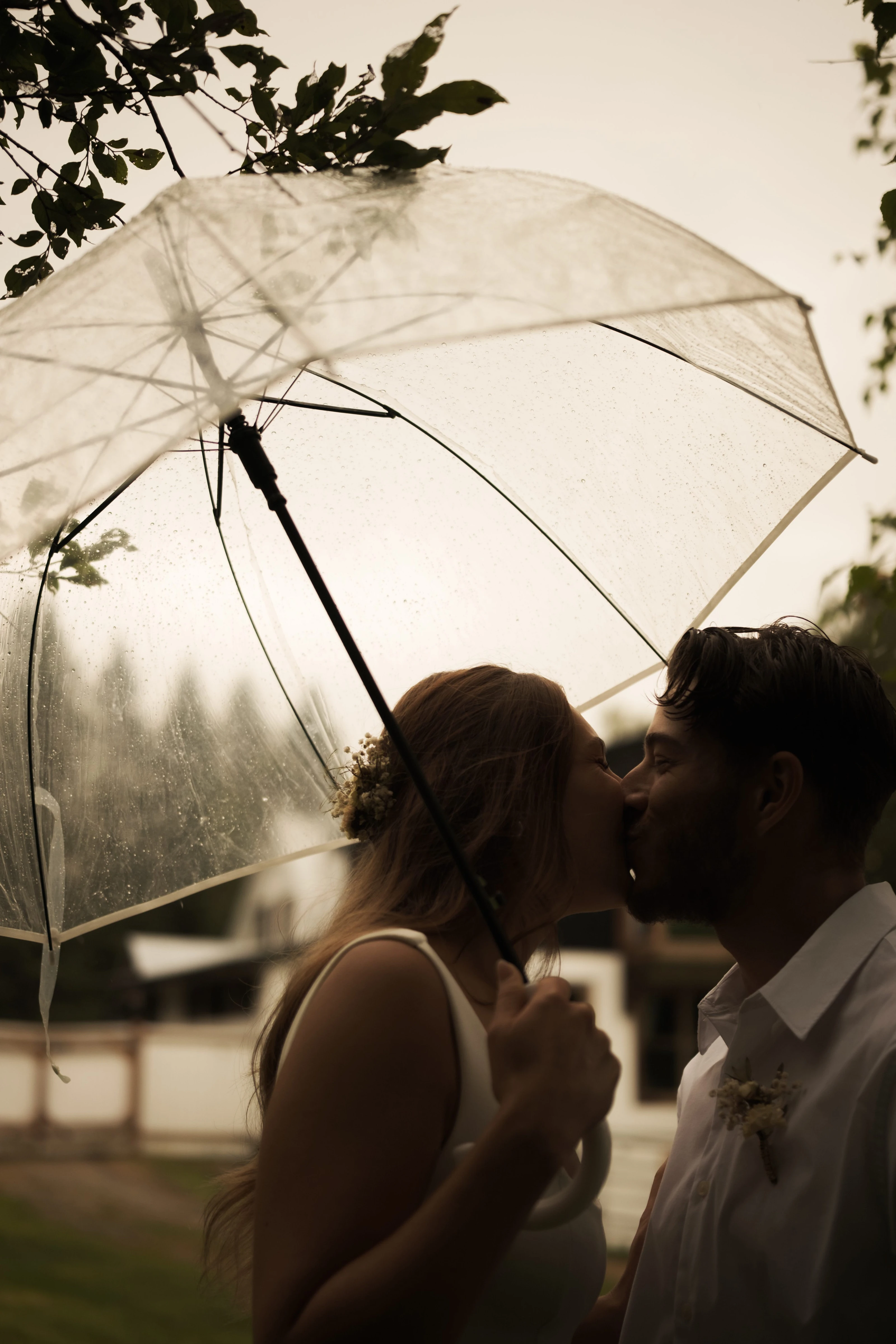 The newlyweds kiss on the steps of a vine-covered stone house