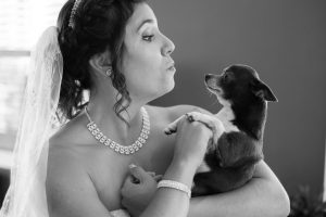 préparation de la mariée avant son mariage avec son chien