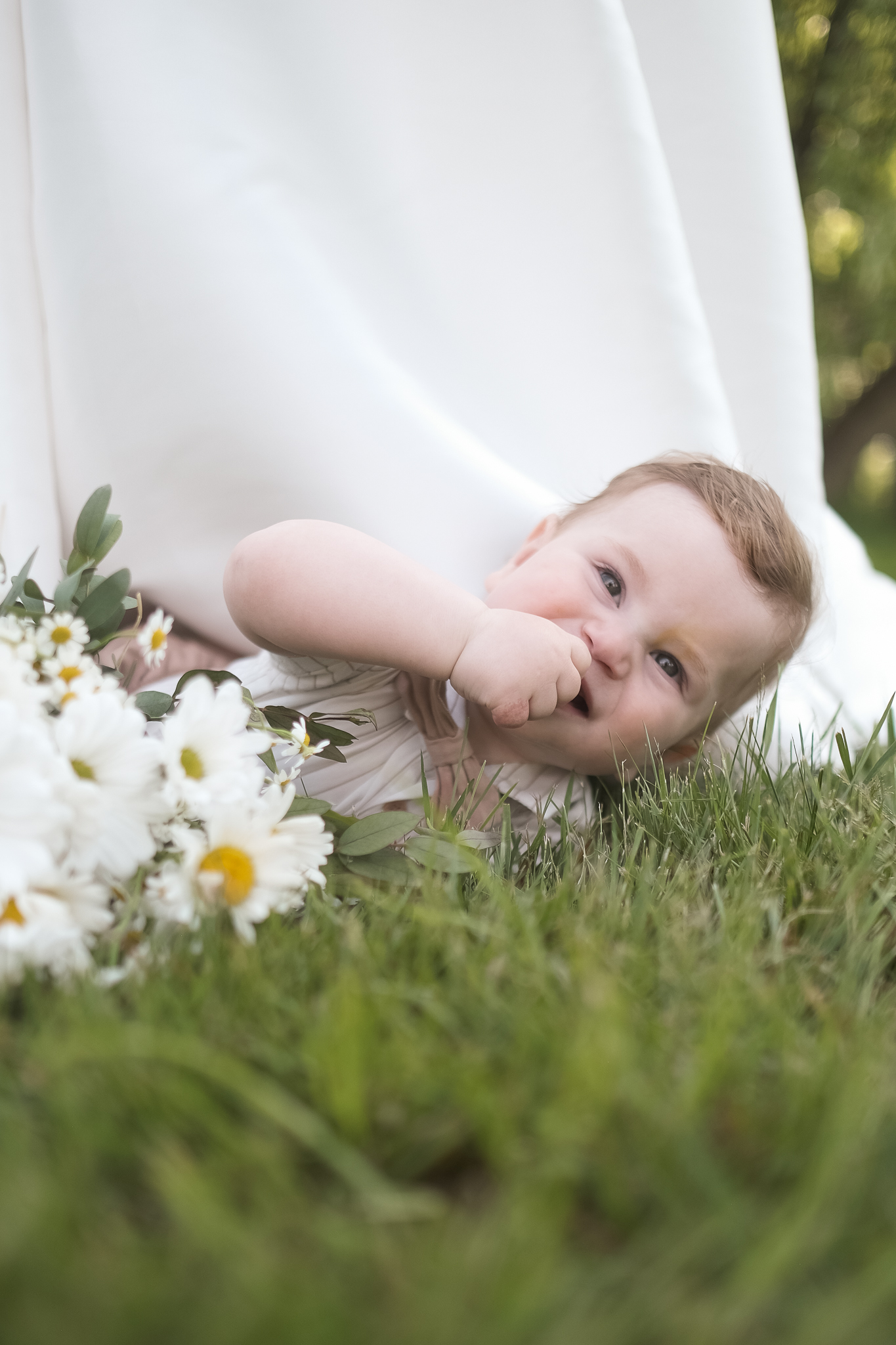 Photodr-4252
